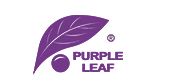 Purple Leaf Coupons & Promo Codes